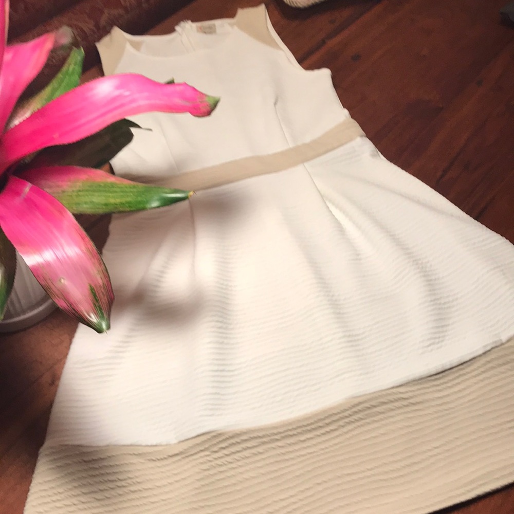 Cremieux White Dress New Without Tags